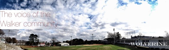 Welcome to The Wolverine Online! (A sunny day at Robertson Field. Photo/Design: Travis King)